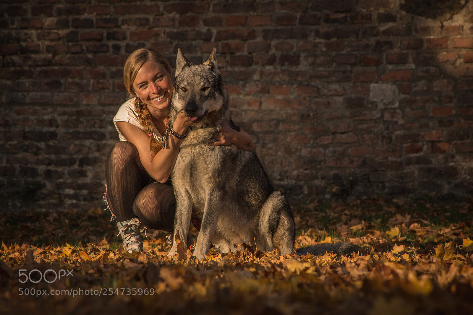 Canon EOS 1100D (EOS Rebel T3 / EOS Kiss X50) sample photo. Gandalf - czech wolfdog photography