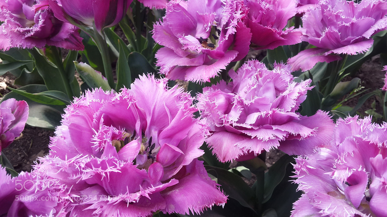 Samsung Galaxy S4 sample photo. 20180422_140754.jpg photography