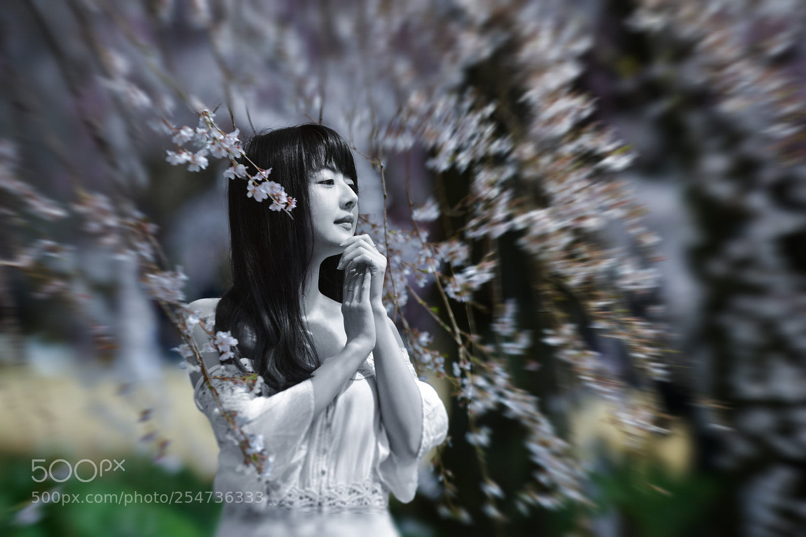 Nikon D850 sample photo. Spring nymph 2 photography