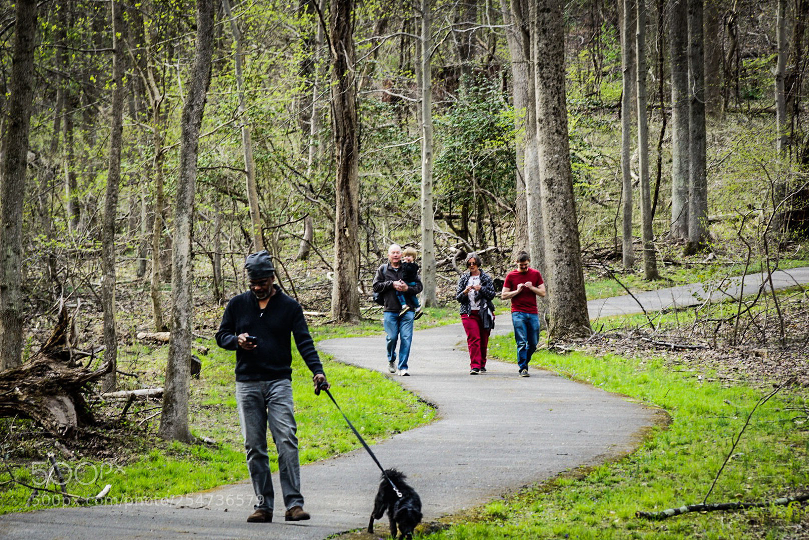 Sony a6000 sample photo. Walkers on the trail photography