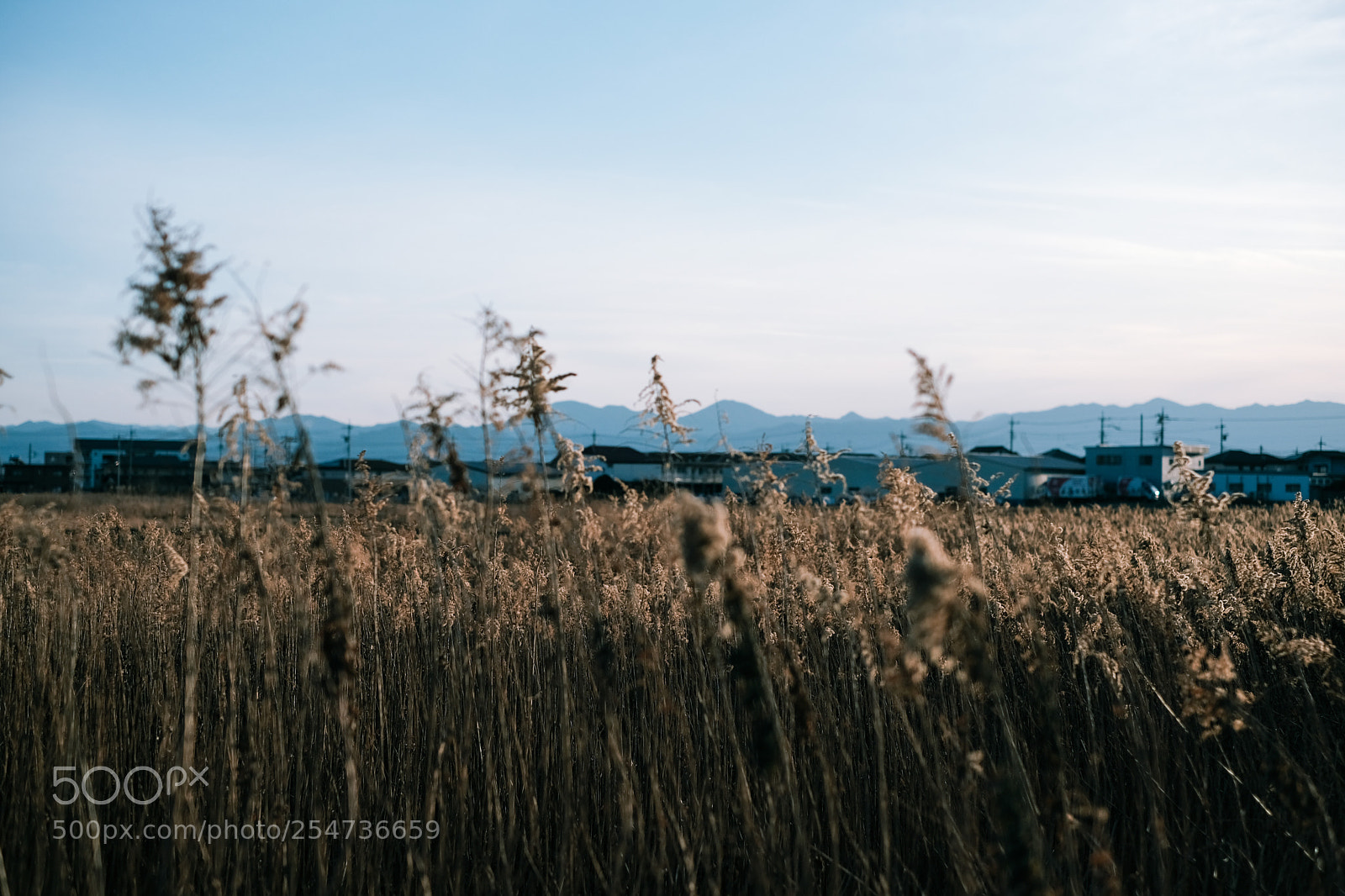 Fujifilm X-Pro2 sample photo. Countryside. photography