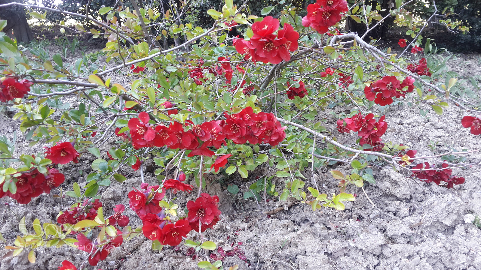 Samsung Galaxy S4 sample photo. 20180422_150410.jpg photography
