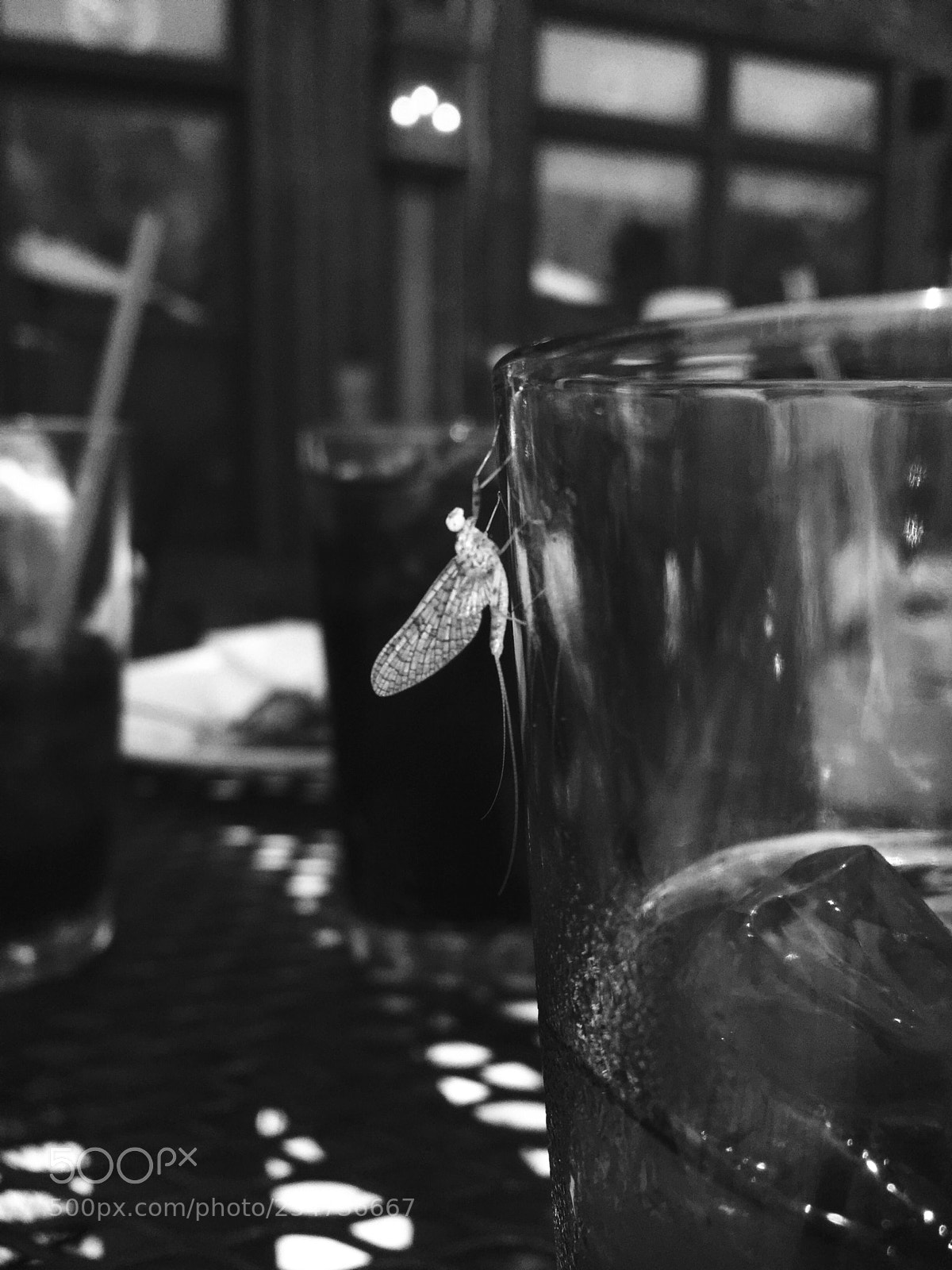 Apple iPhone 6 sample photo. Brunch guest photography
