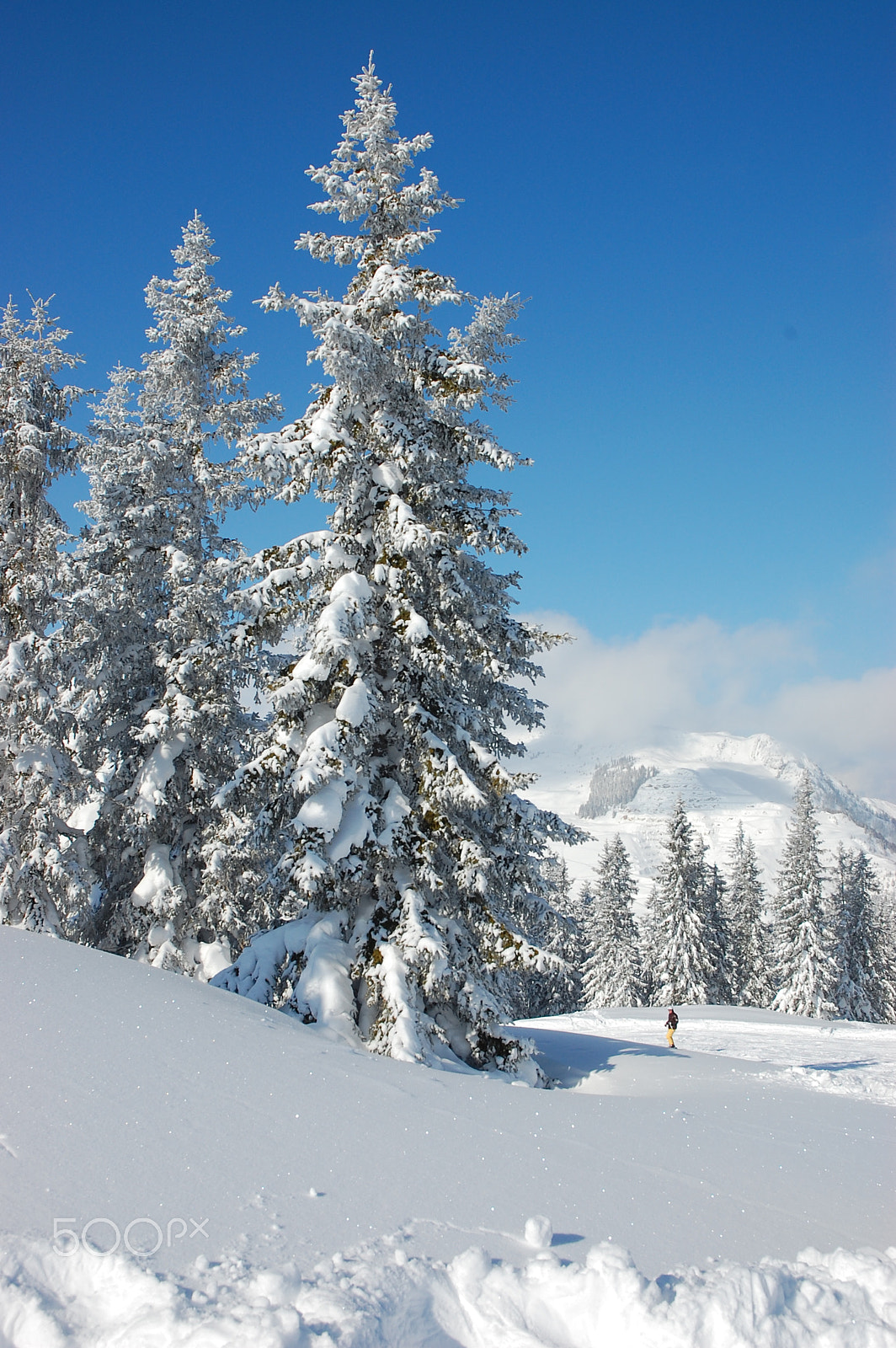 Nikon AF-S DX Nikkor 18-70mm F3.5-4.5G ED-IF sample photo. Saalbach snow trees photography