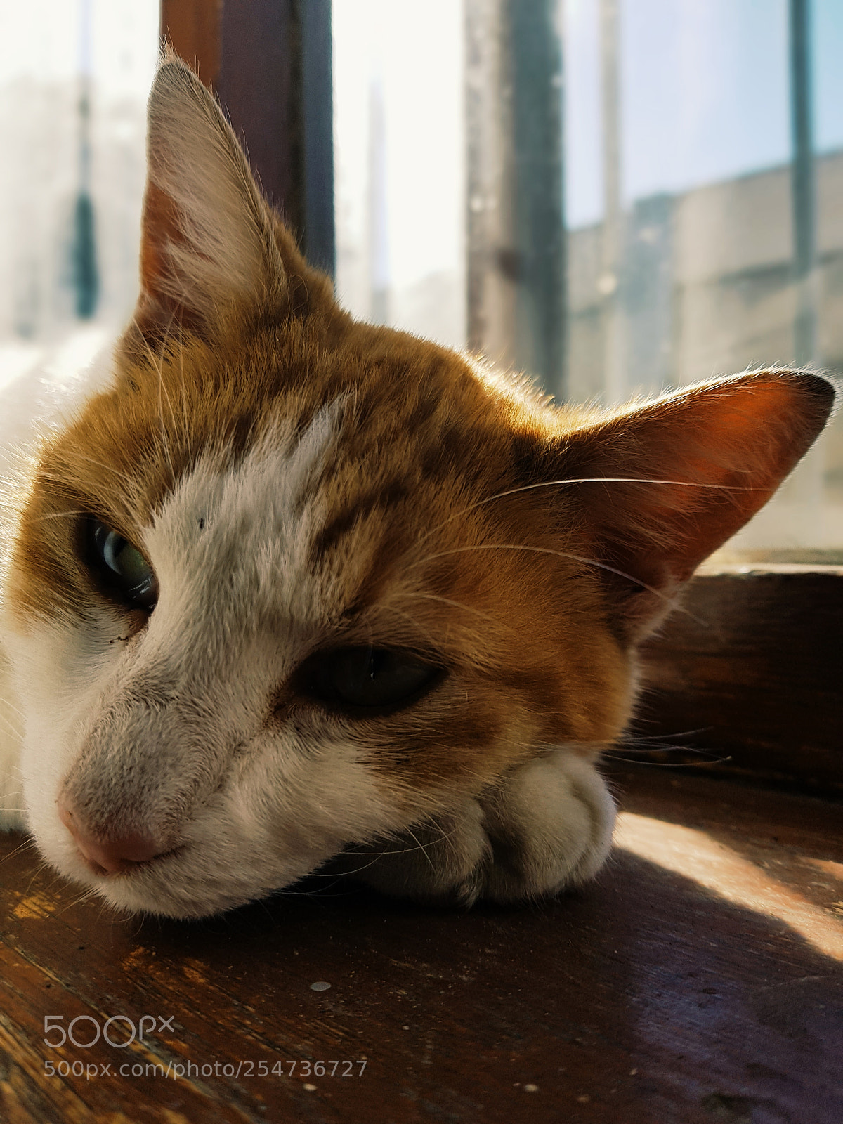 Samsung Galaxy S8 sample photo. Why do you do photography