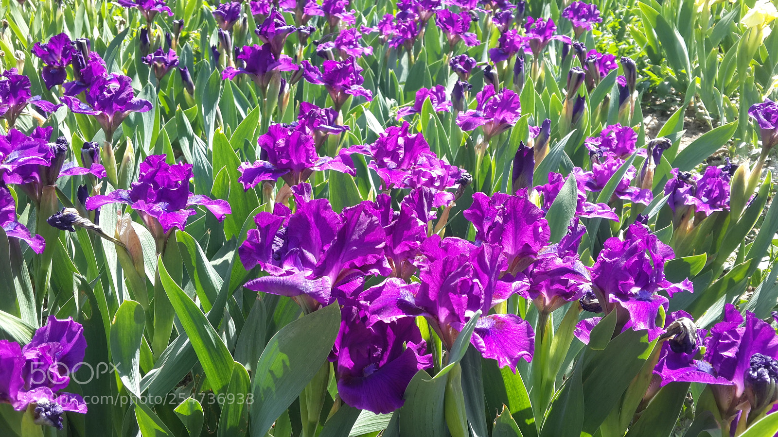 Samsung Galaxy S4 sample photo. 20180422_150624.jpg photography