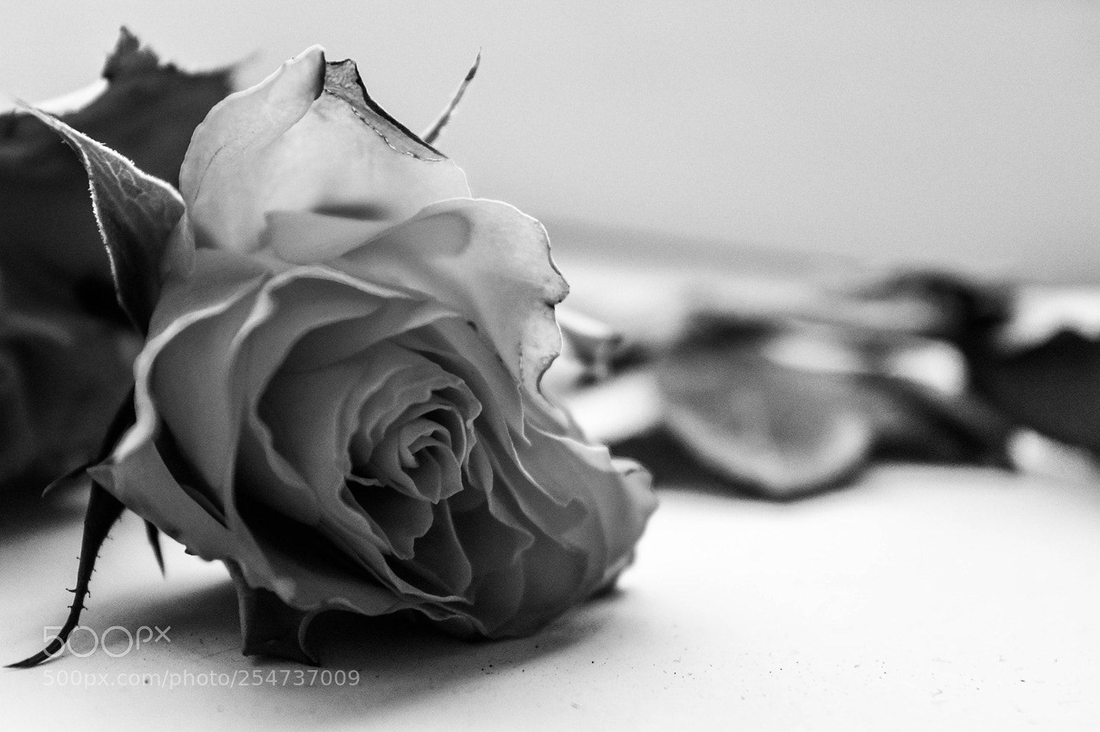 Nikon D5500 sample photo. F10 photography