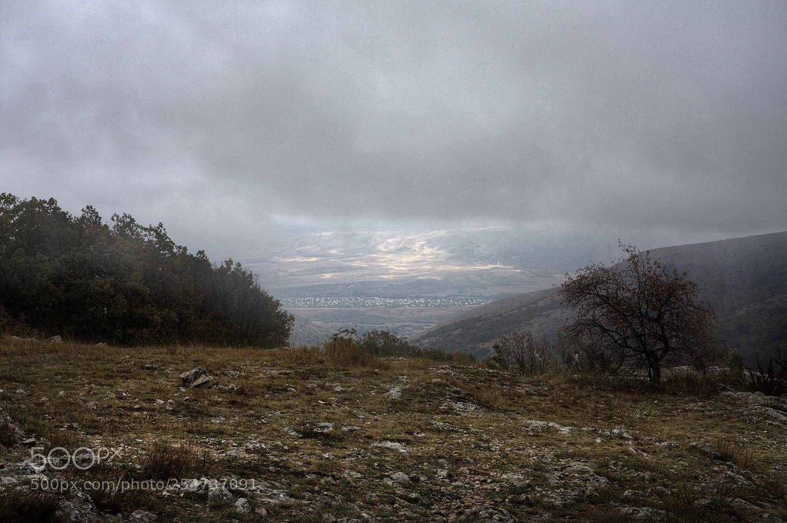 Canon EOS 40D sample photo. Untitled photography