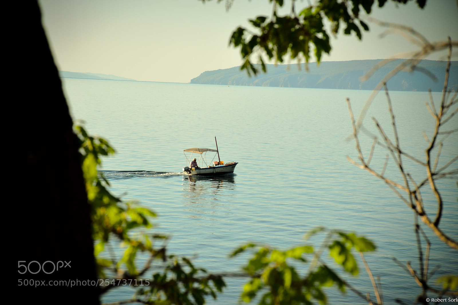 Nikon D5300 sample photo. Untitled photography
