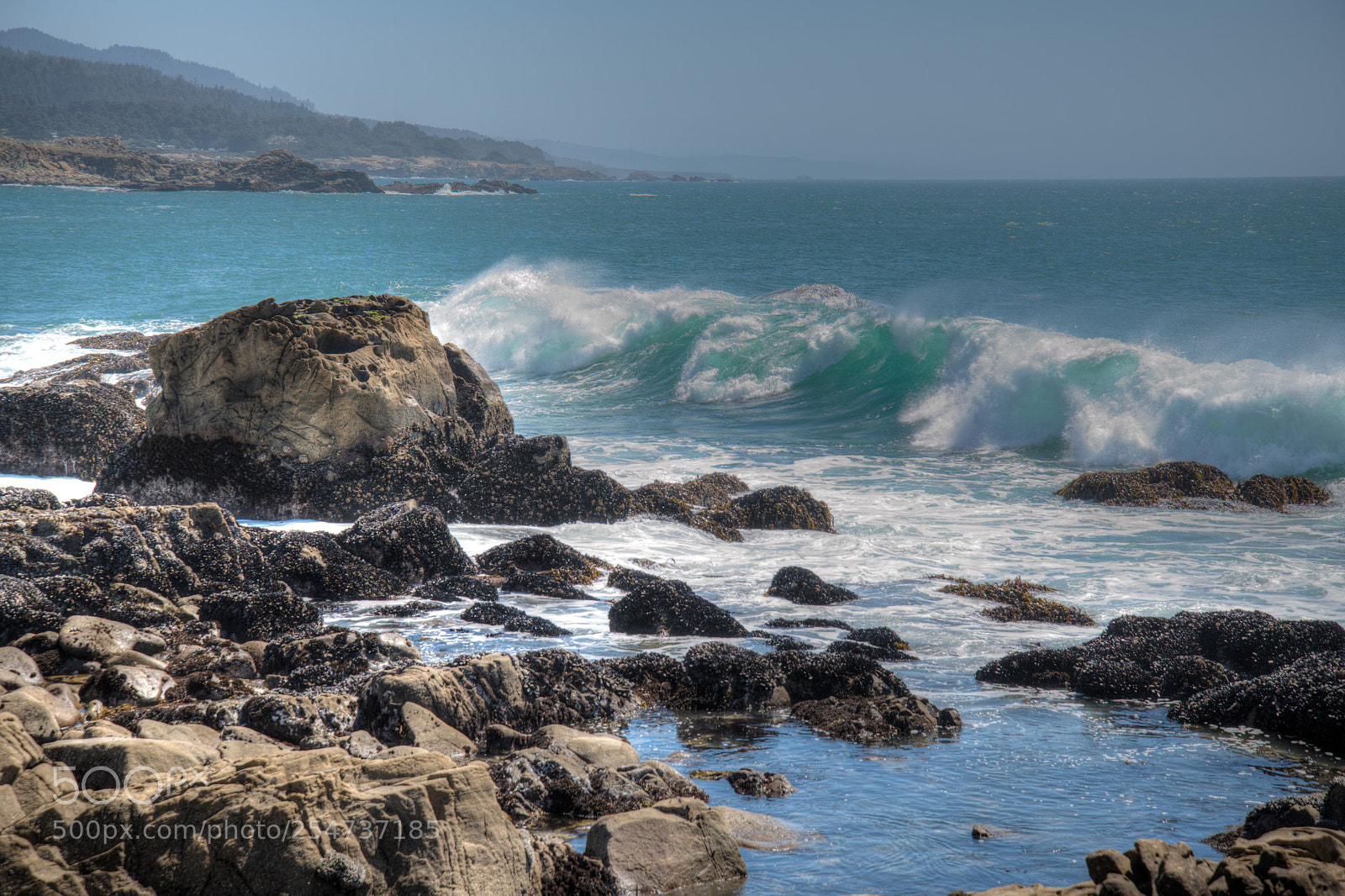 Nikon D850 sample photo. California coast photography