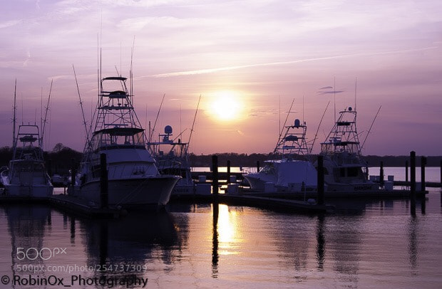 Nikon D40 sample photo. Pink hues and reflections photography