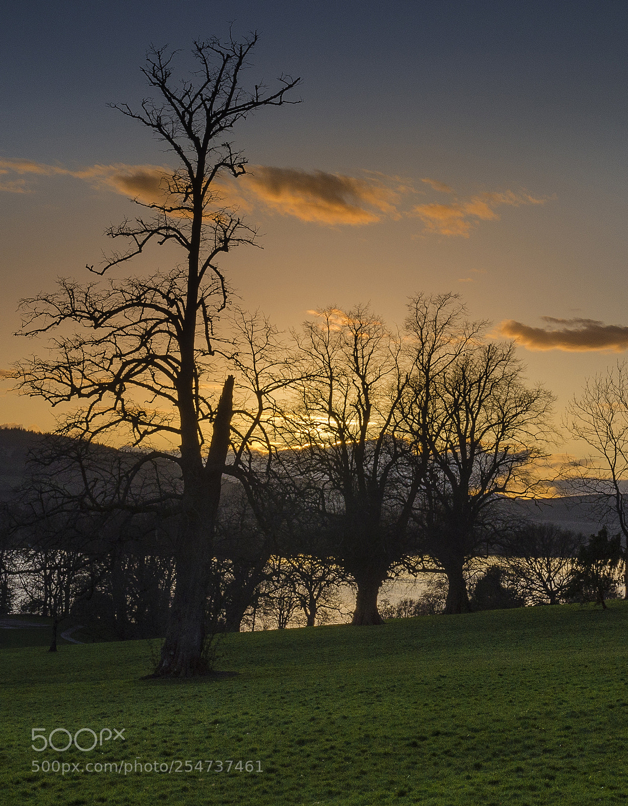 Nikon D7000 sample photo. Balloch-country park photography