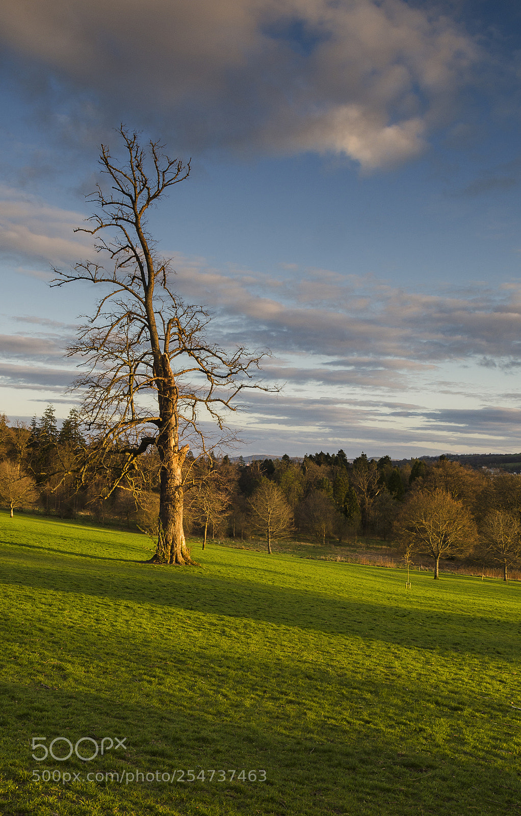 Nikon D7000 sample photo. Balloch-country park photography