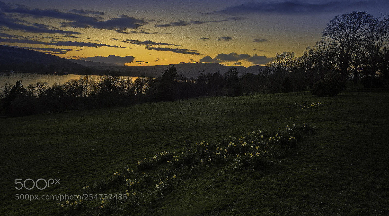 Nikon D7000 sample photo. Balloch-country park photography