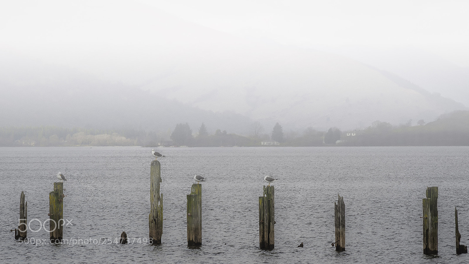 Nikon D7000 sample photo. Balloch-country park photography