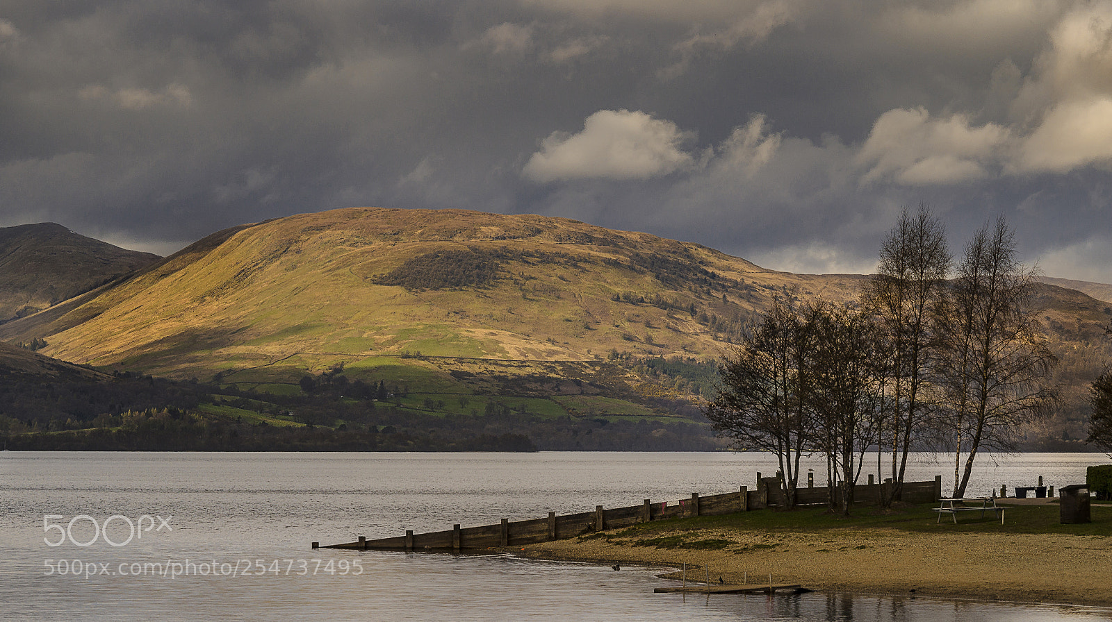 Nikon D7000 sample photo. Balloch-country park photography