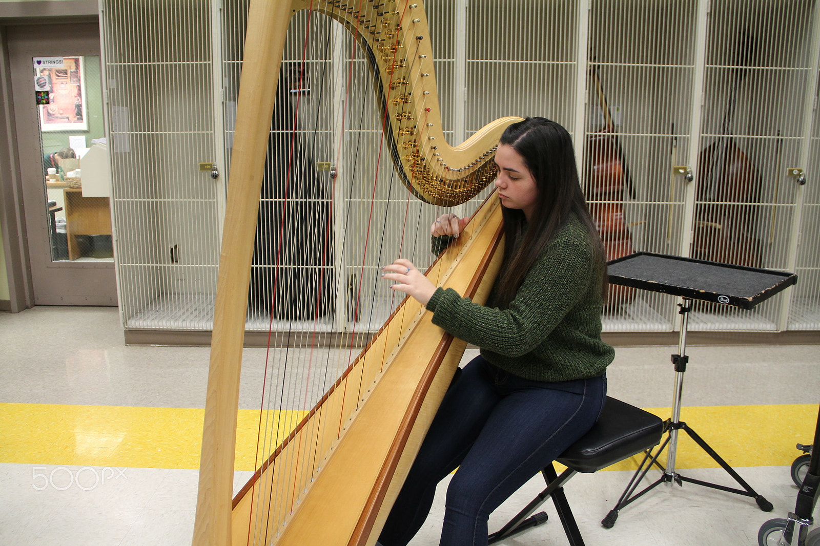 Canon EOS 1100D (EOS Rebel T3 / EOS Kiss X50) sample photo. Full orchestra photography