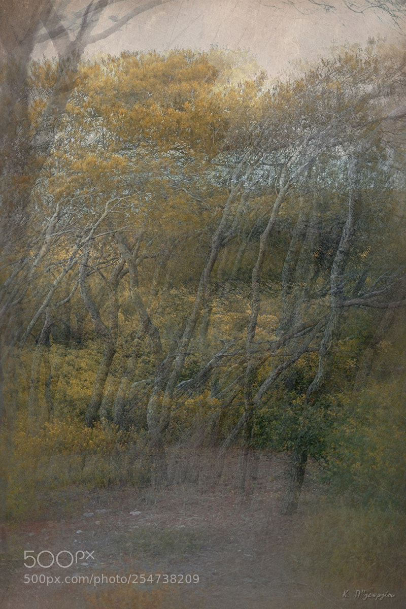 Nikon D7100 sample photo. Impressionist dancers photography