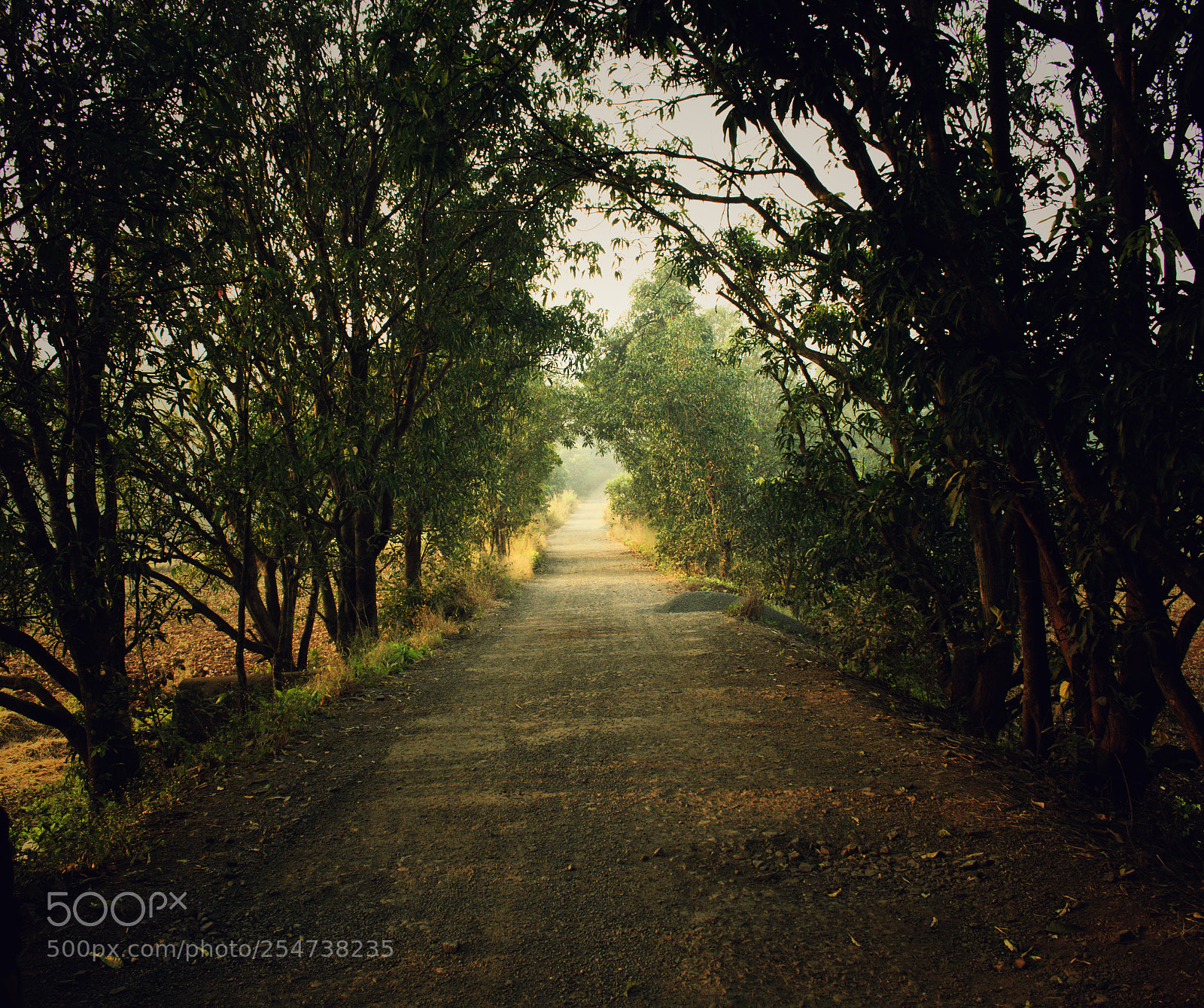 Nikon D3300 sample photo. The road less traveled! photography