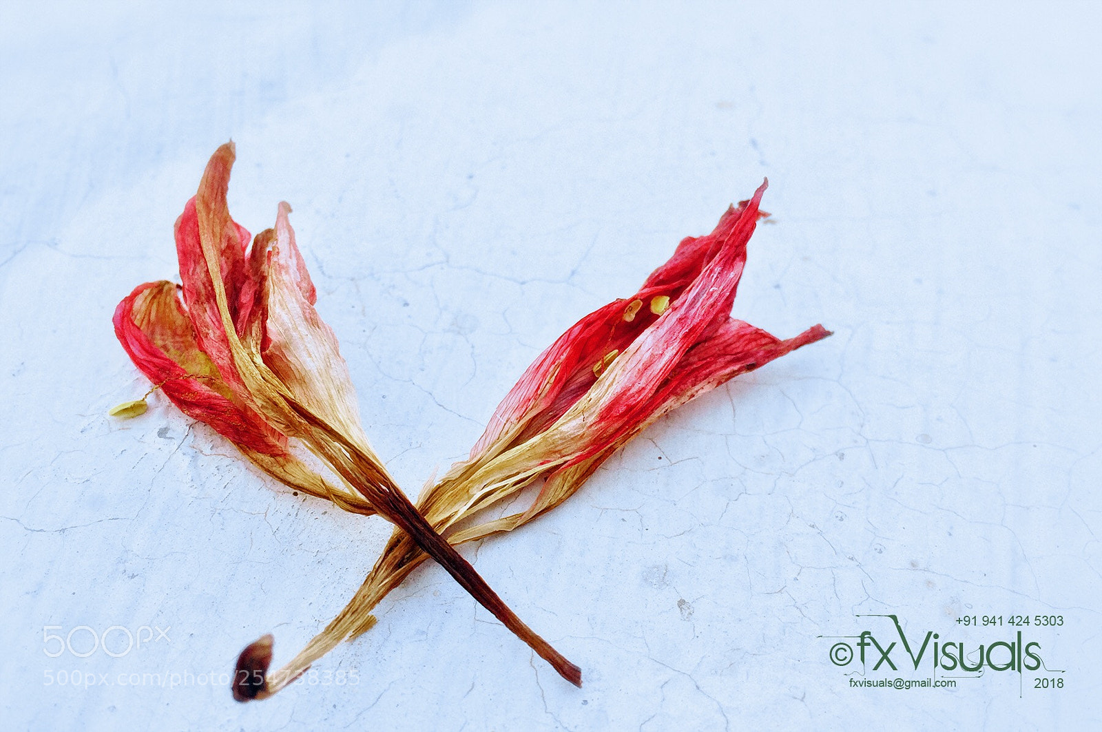 Apple iPhone 5s sample photo. Togetherness  photography