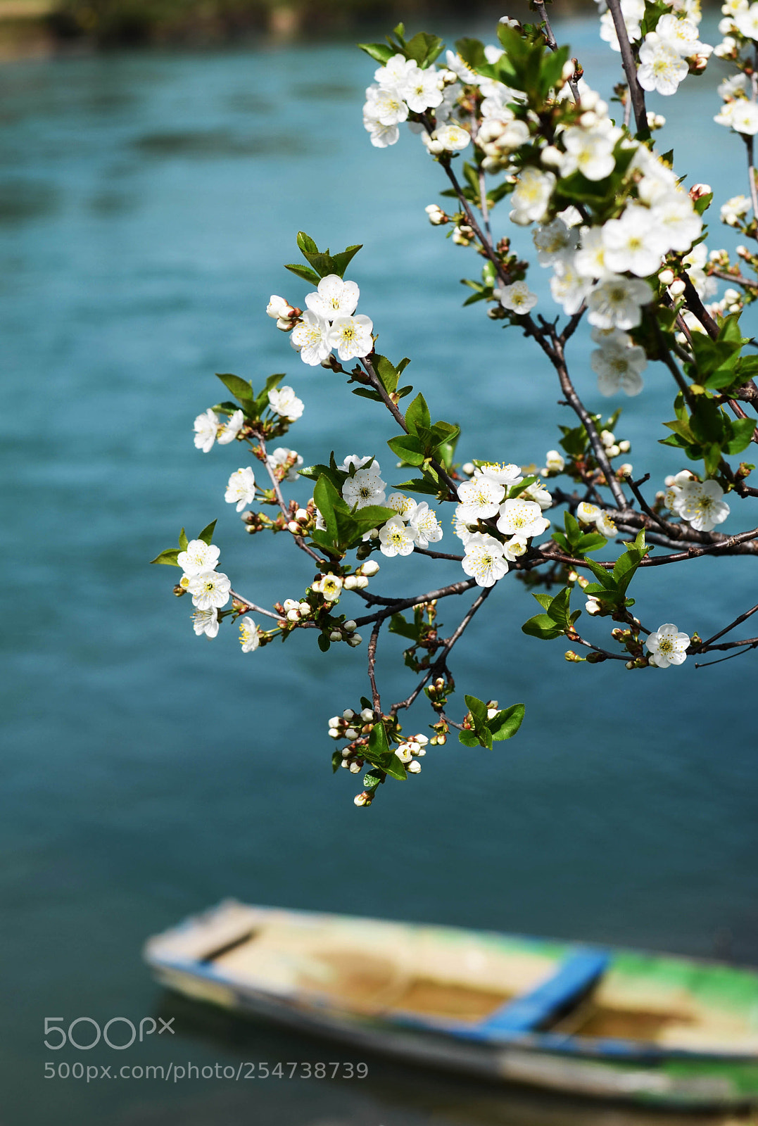Nikon D7000 sample photo. Una photography