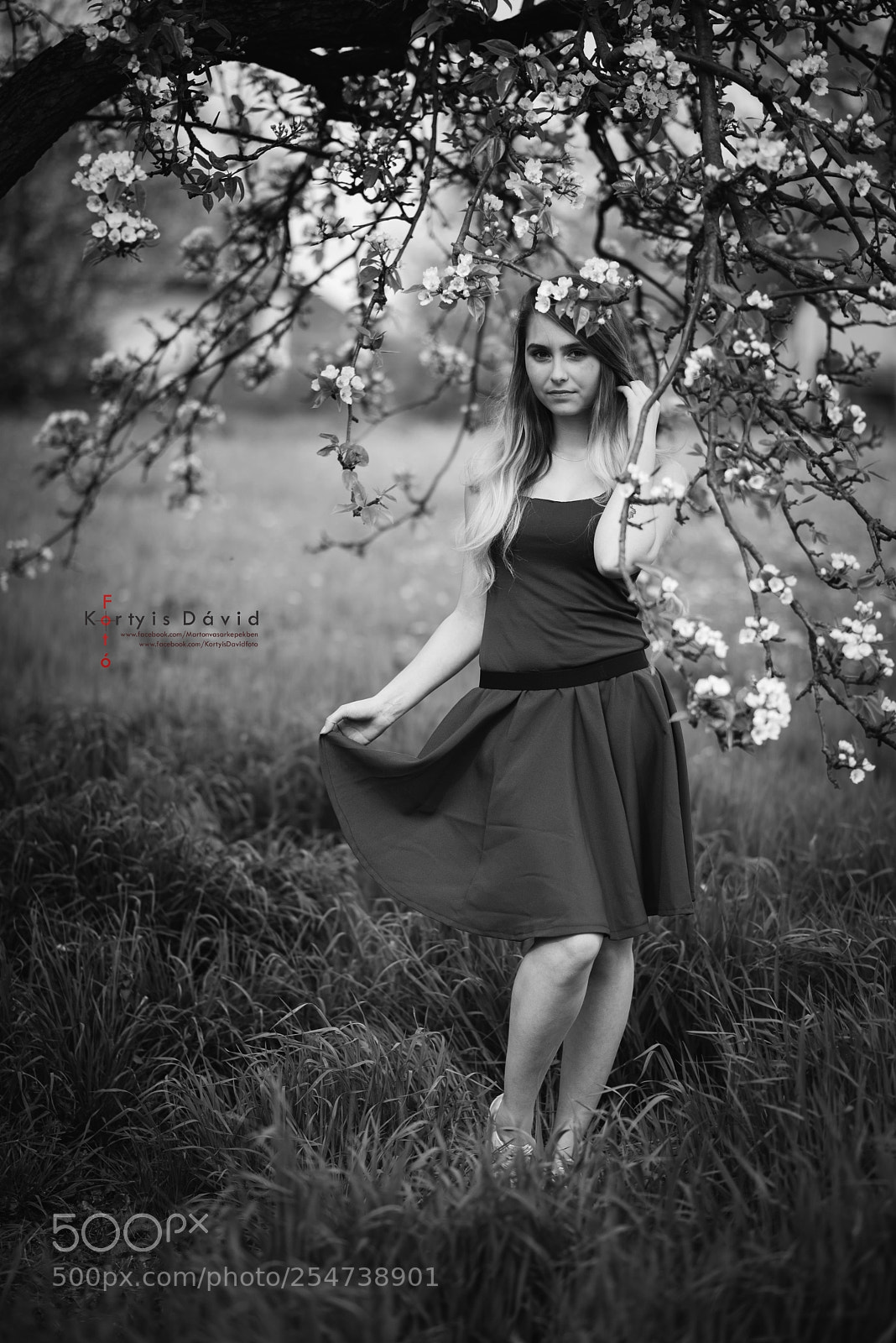 Nikon D610 sample photo. Black and white spring photography