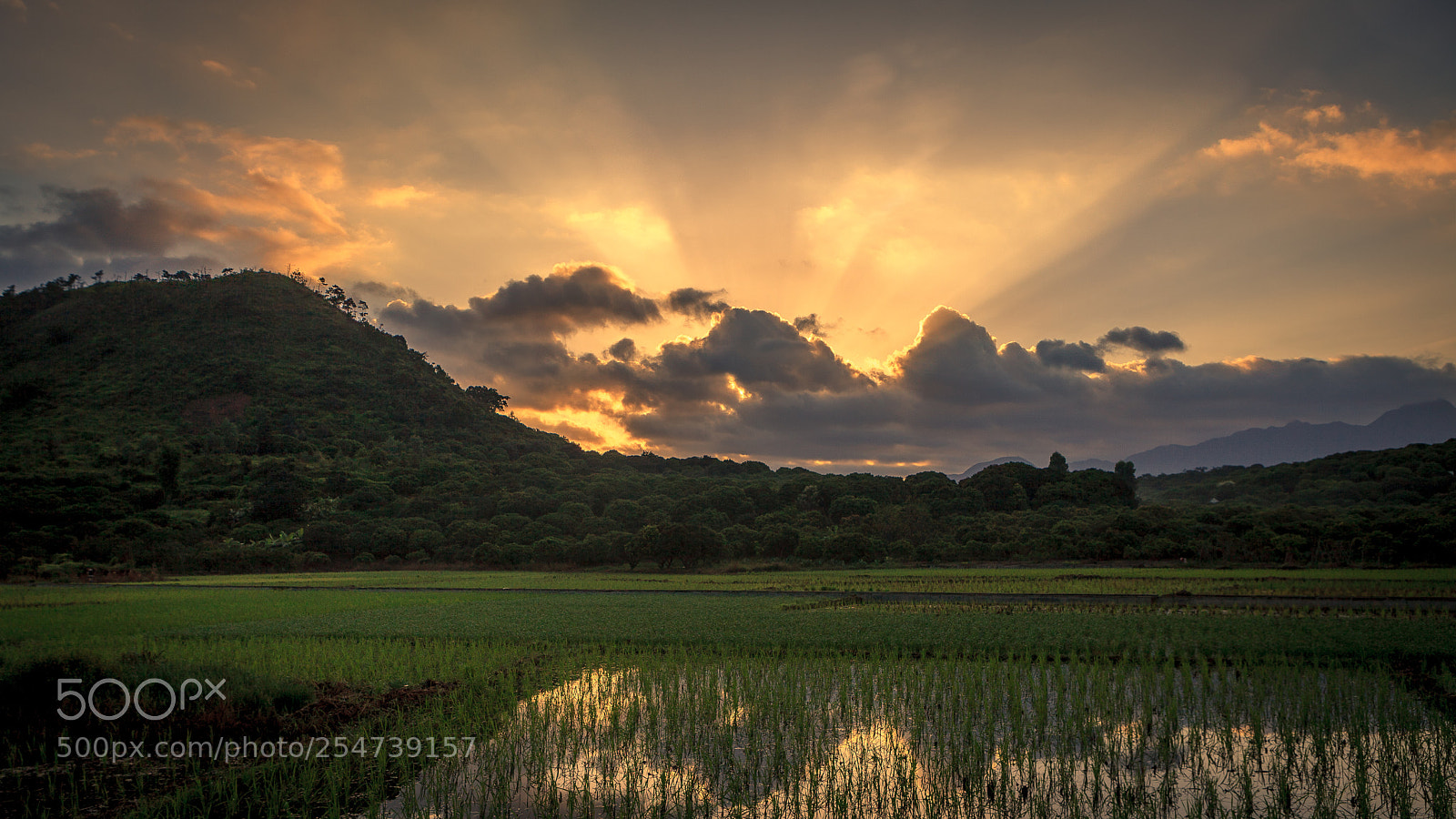 Canon EOS 5D Mark II sample photo. There will be brighter photography