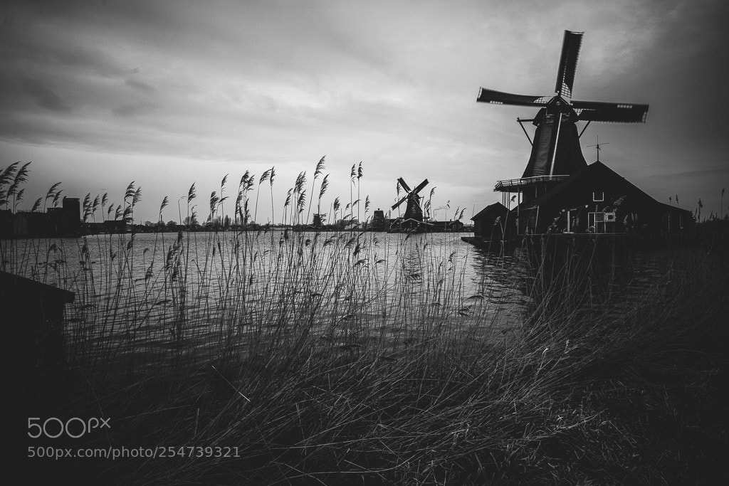 Canon EOS 5D Mark II sample photo. Zaanse schans photography