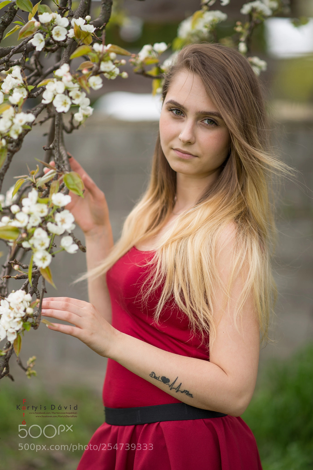 Nikon D610 sample photo. Spring photography