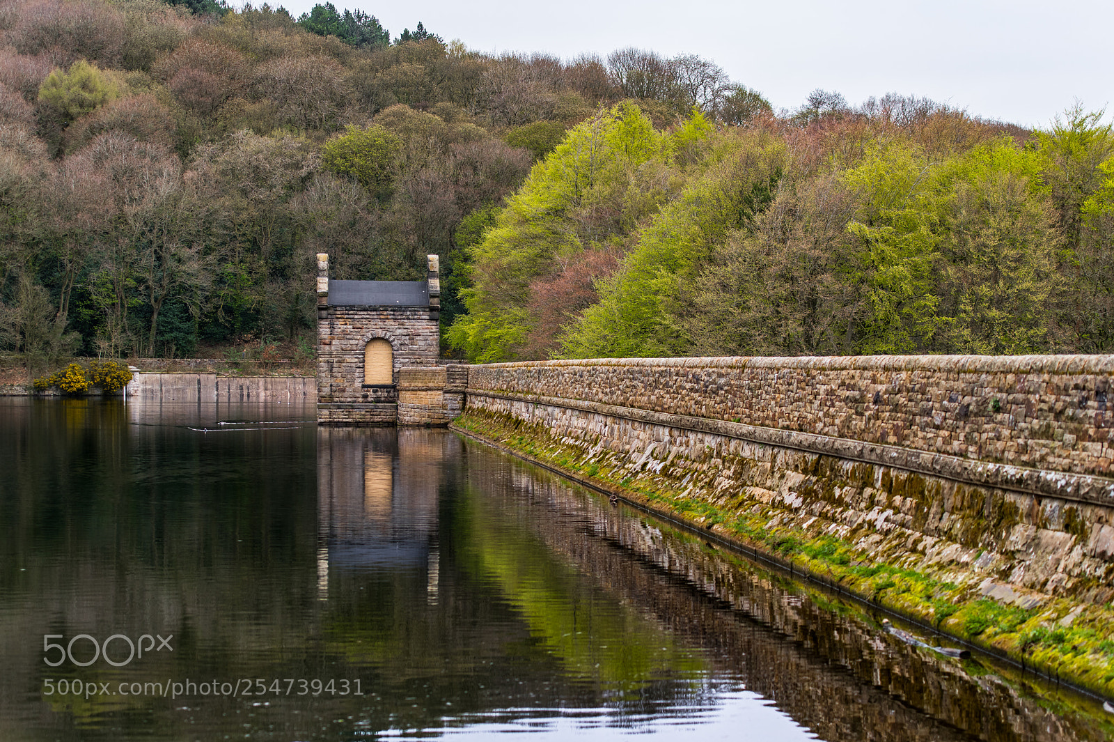 Nikon D850 sample photo. The dam wall photography