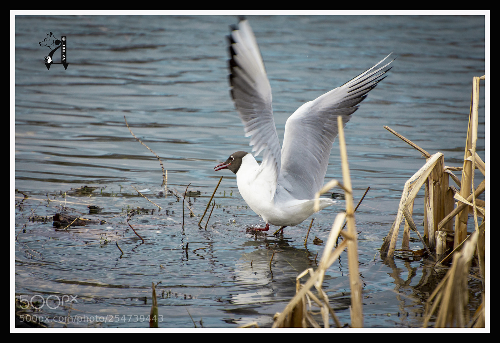 Nikon D7200 sample photo. Dsc photography