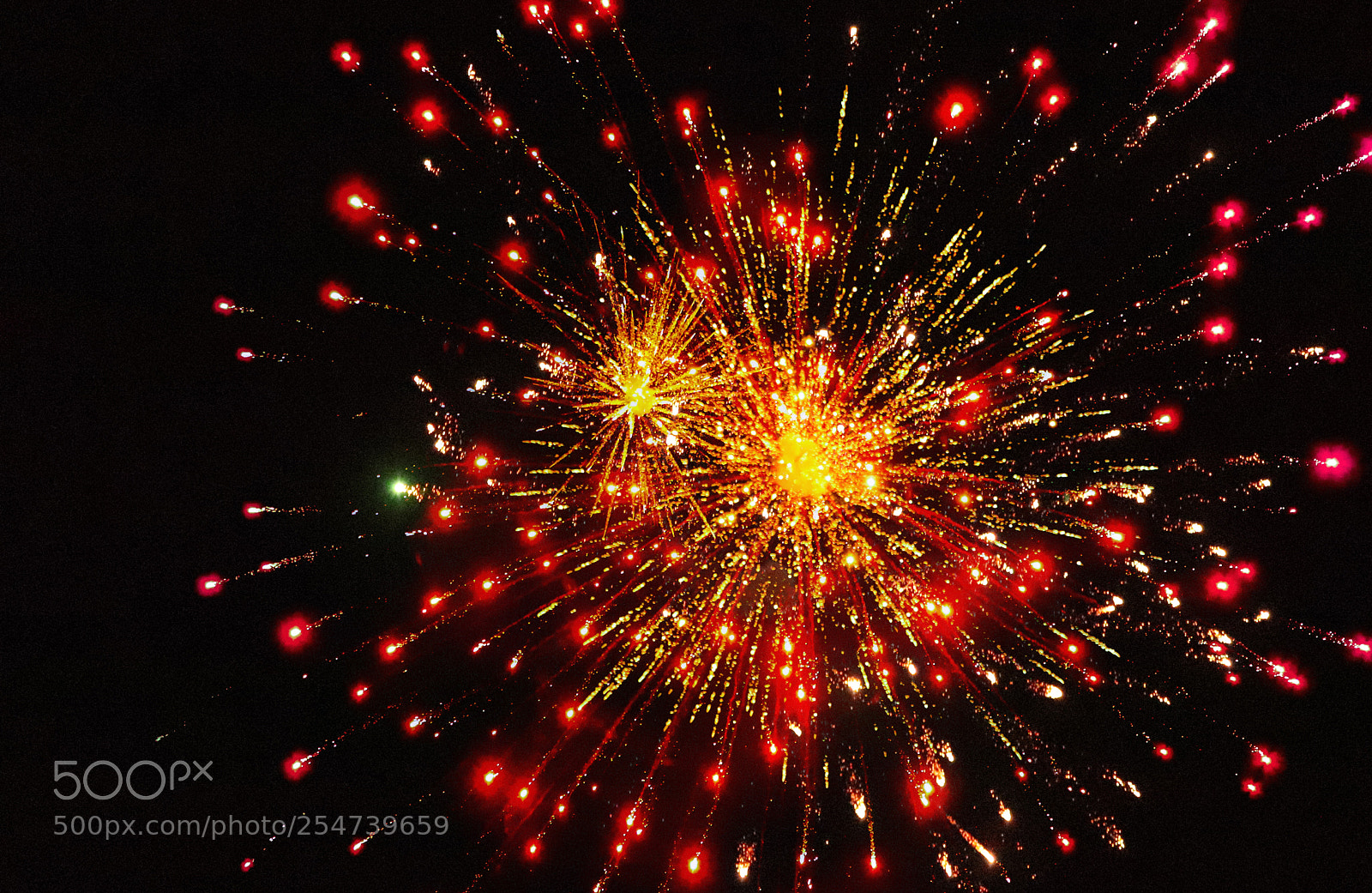 Canon EOS 77D (EOS 9000D / EOS 770D) sample photo. Untitled photography
