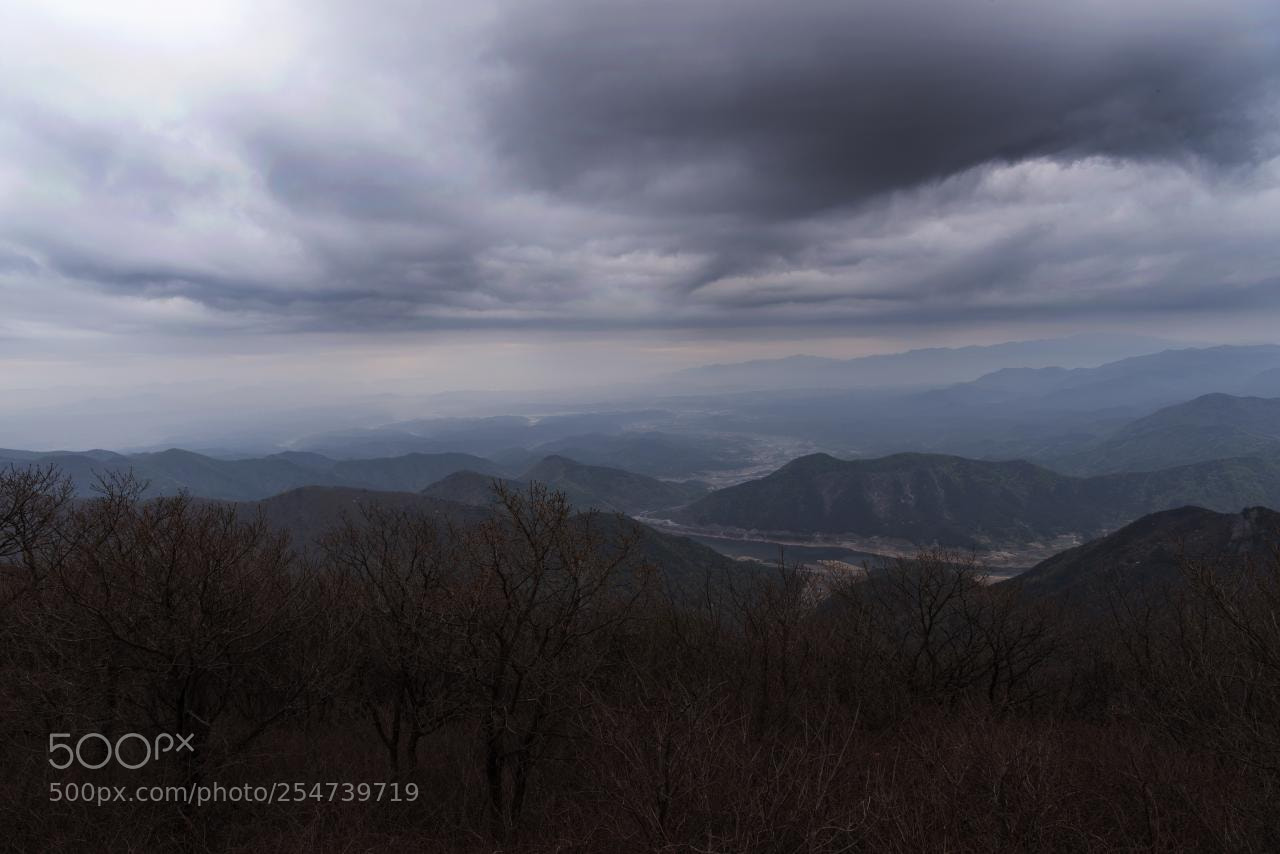 Nikon D810 sample photo. Rain photography
