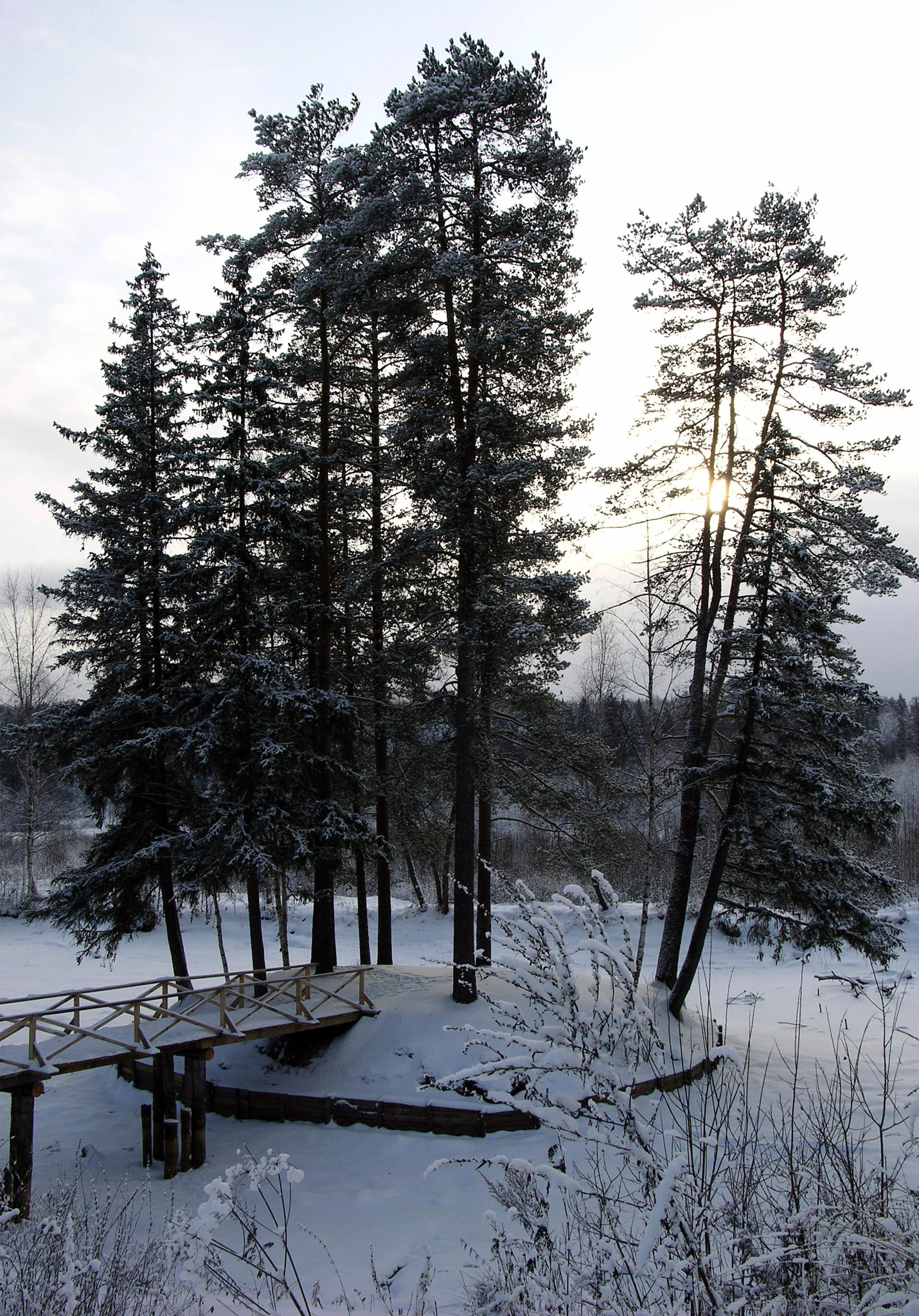 Nikon E8700 sample photo. Winter island photography