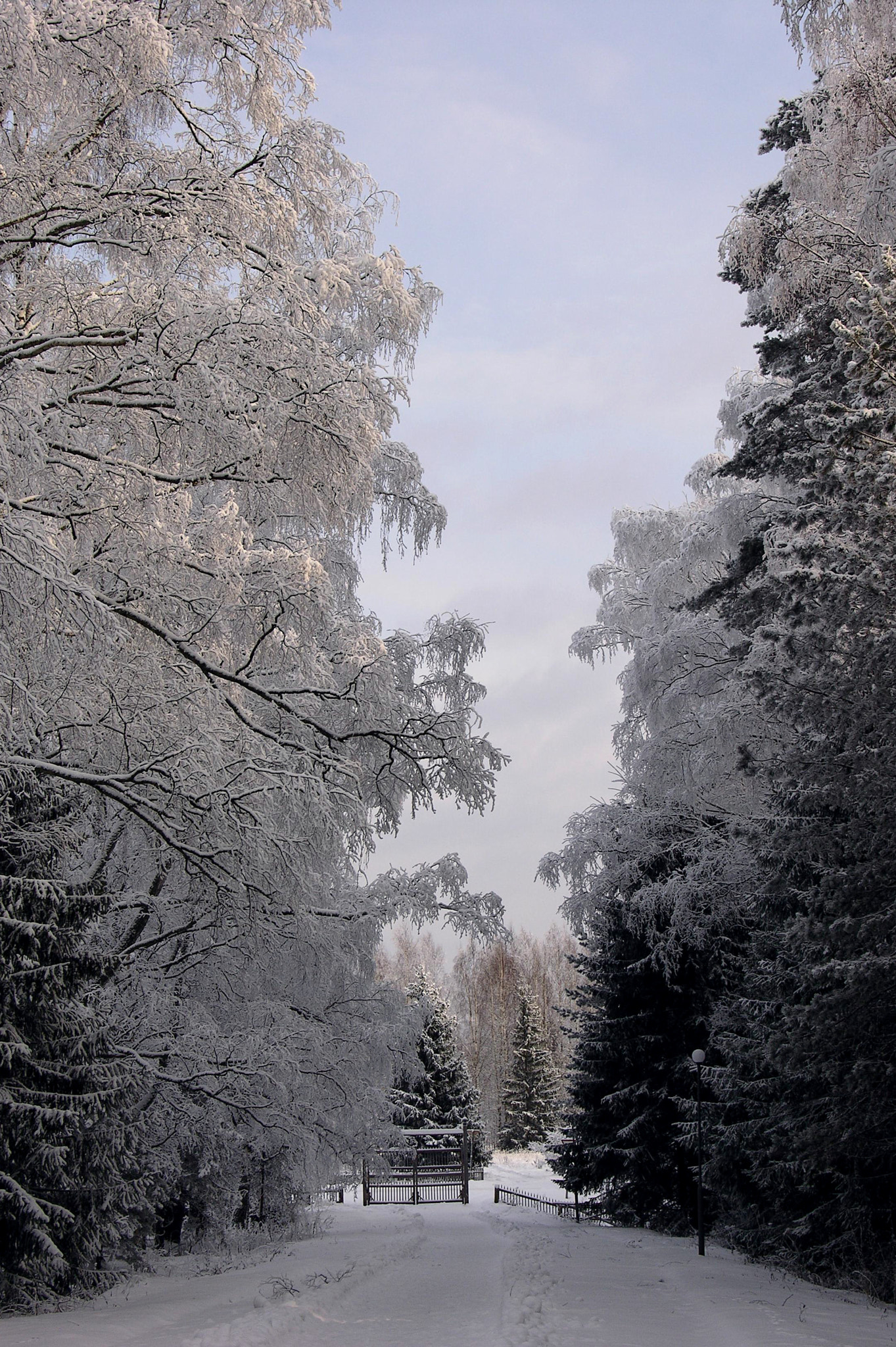 Nikon E8700 sample photo. Gates in winter photography