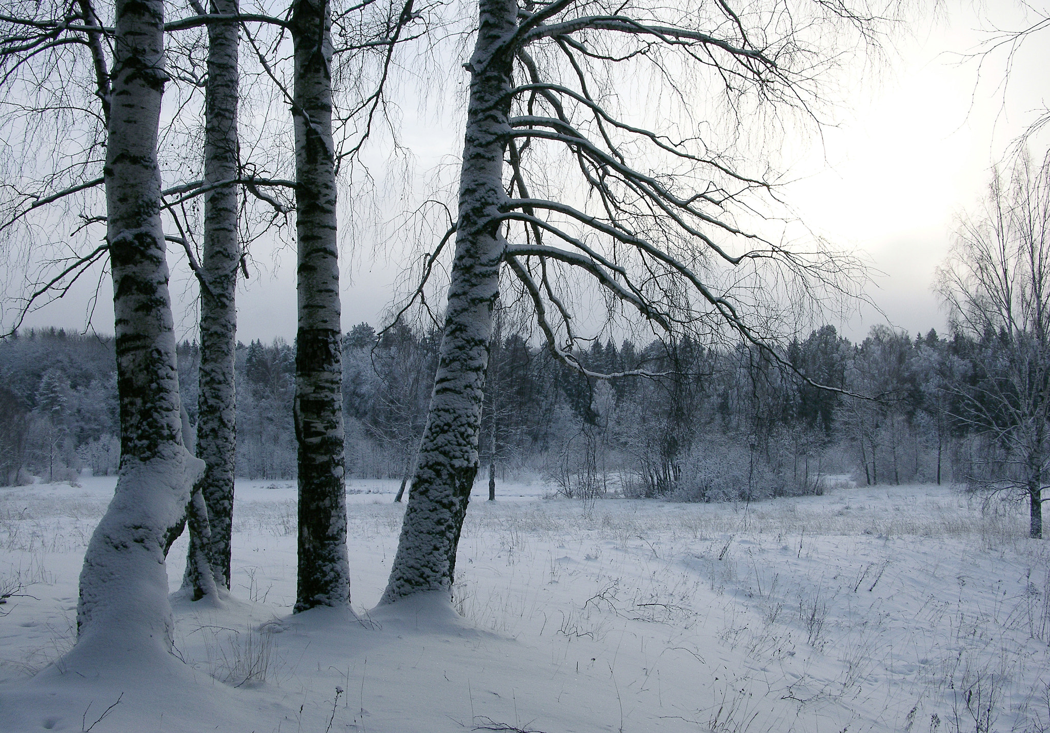 Nikon E8700 sample photo. Russian winter photography