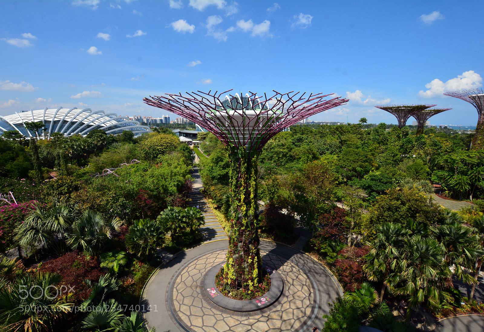 Nikon D7100 sample photo. Gardens by the bay photography