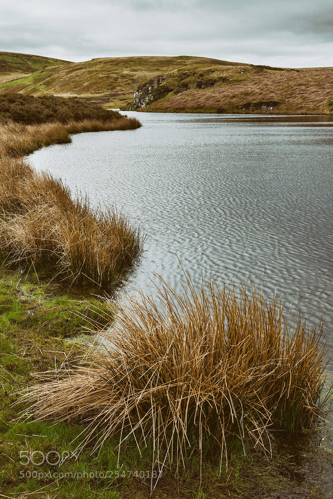 Nikon D7200 sample photo. Beside the lake photography