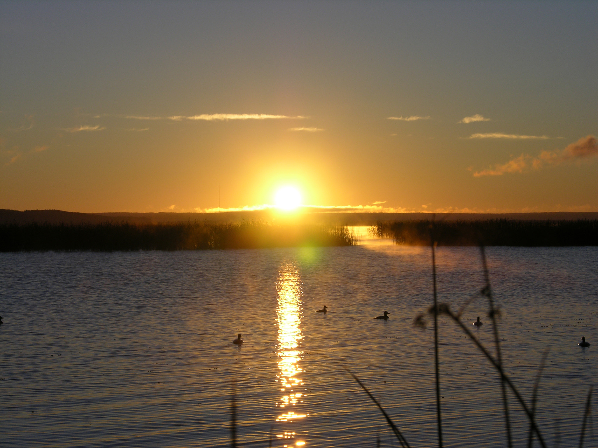 Nikon E8700 sample photo. Dawn during hunting photography