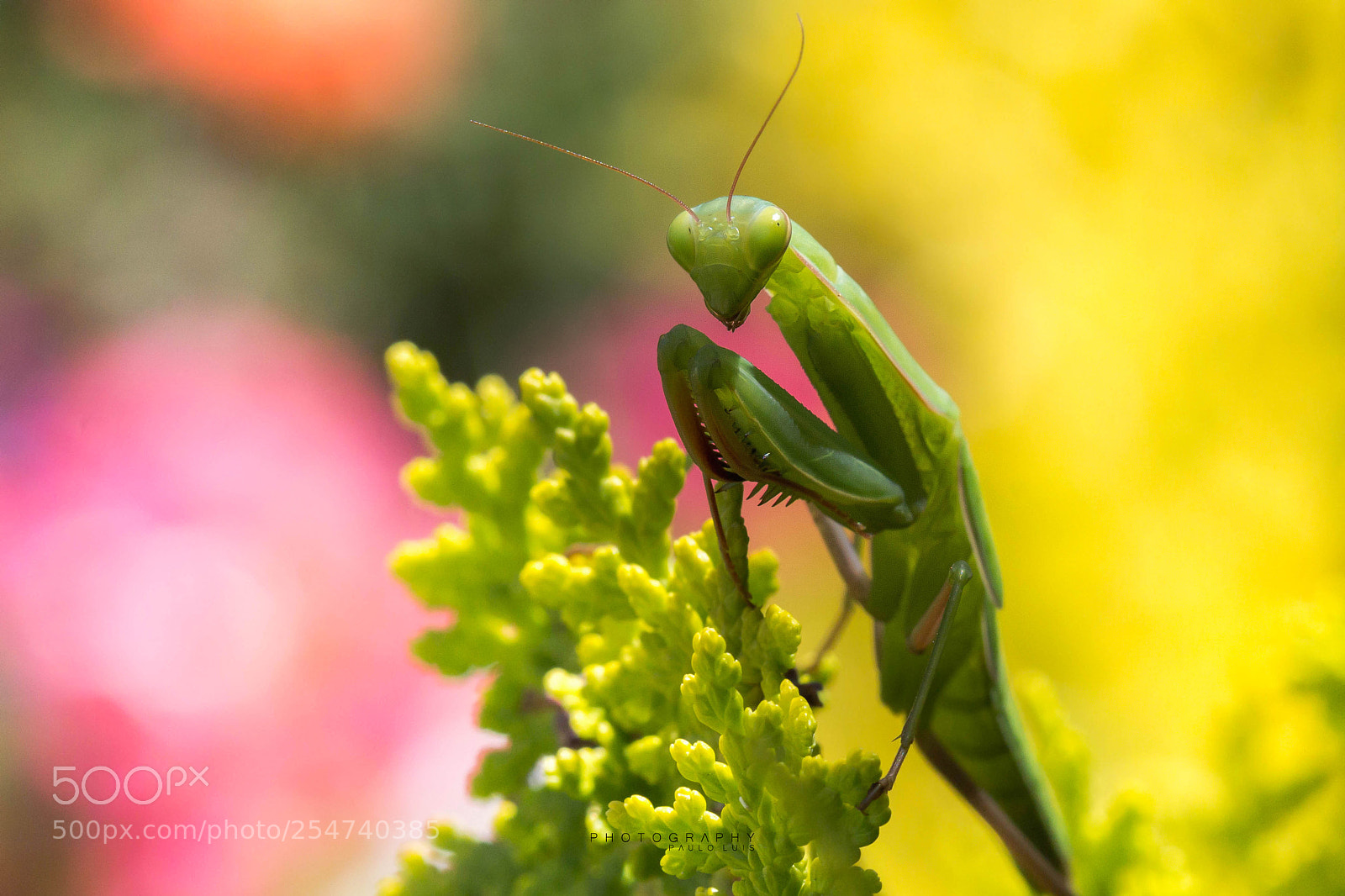 Canon EOS 60D sample photo. I returned photography