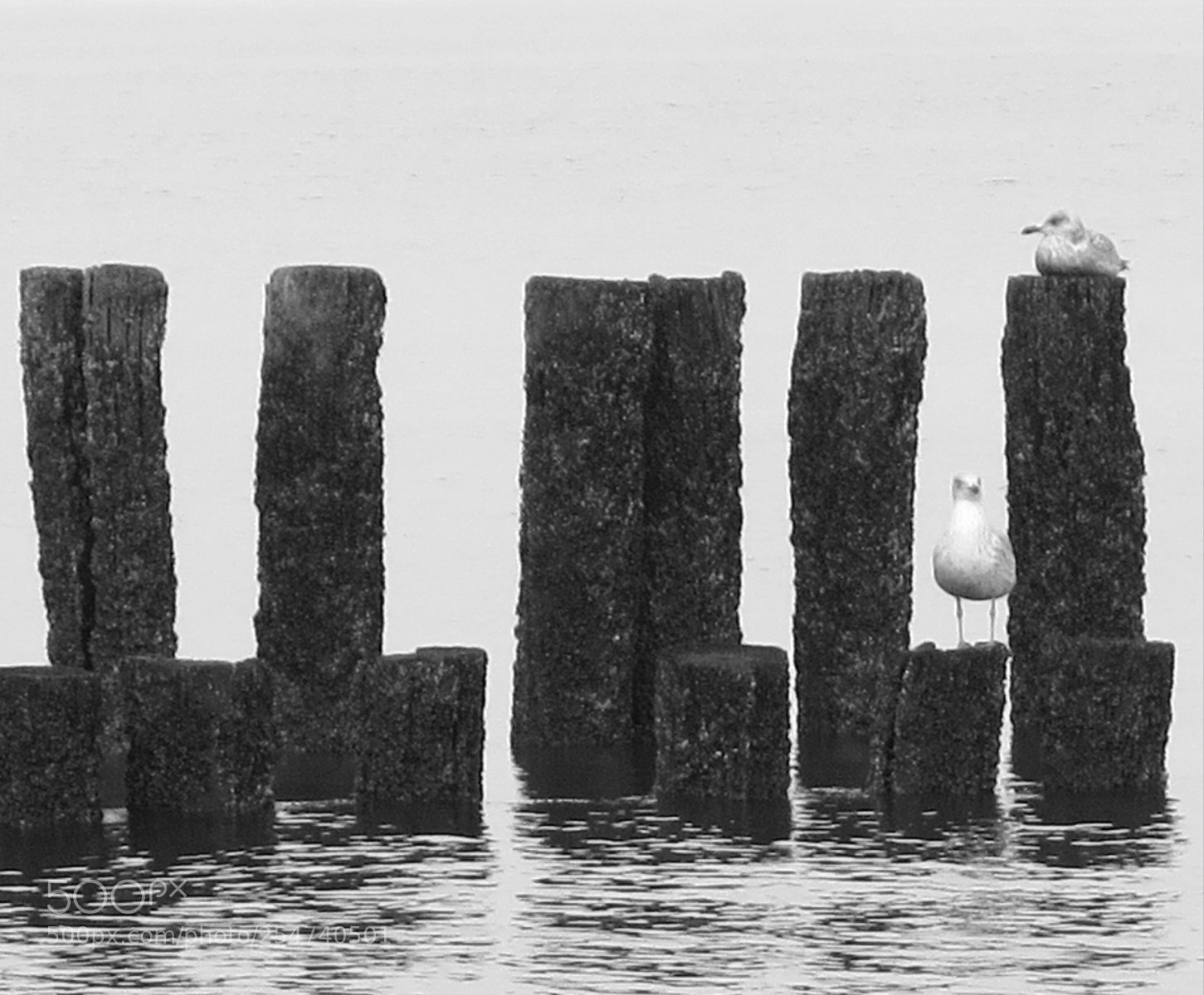 Canon PowerShot G16 sample photo. Domburg photography