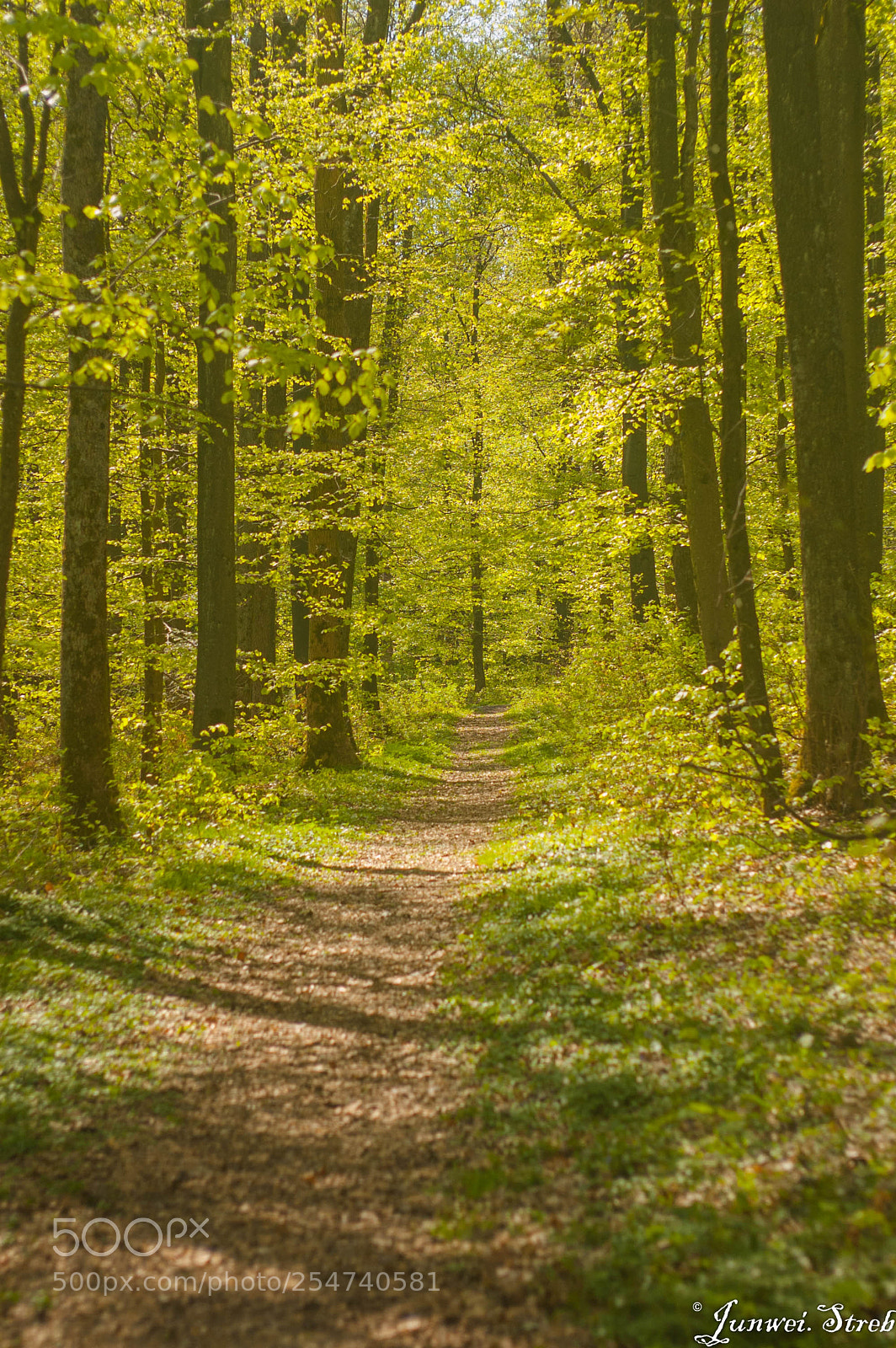 Nikon D70s sample photo. Hiking photography