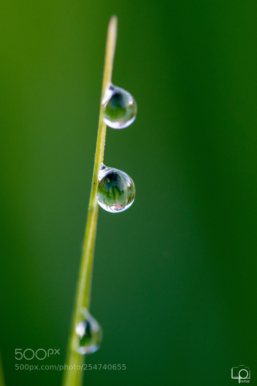 Nikon D7500 sample photo. Lp photography
