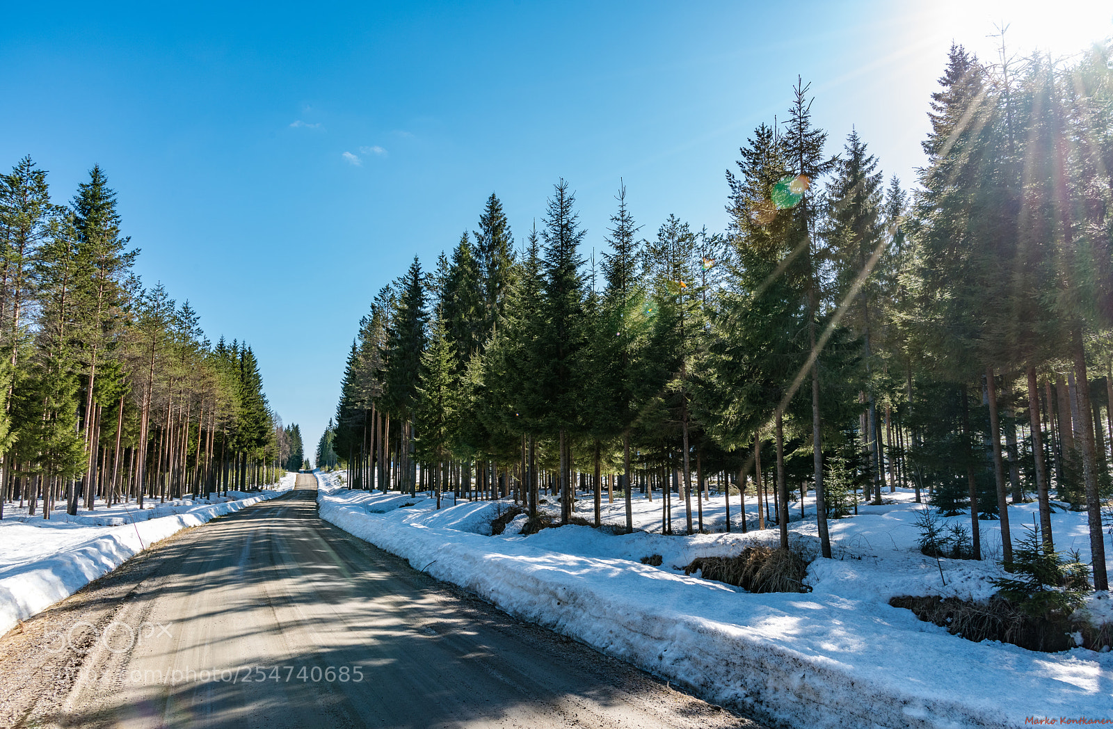 Nikon D810 sample photo. The road photography