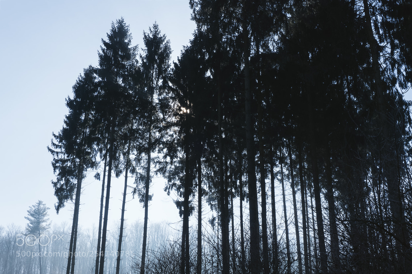 Sony a6000 sample photo. The dark photography