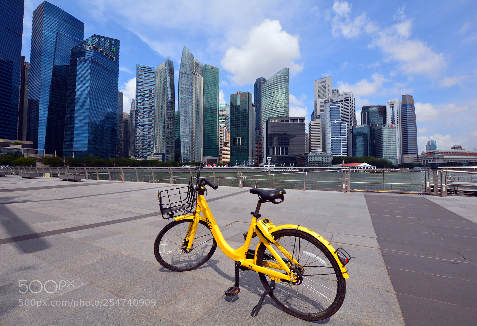 Nikon D7100 sample photo. Yellow is the color photography