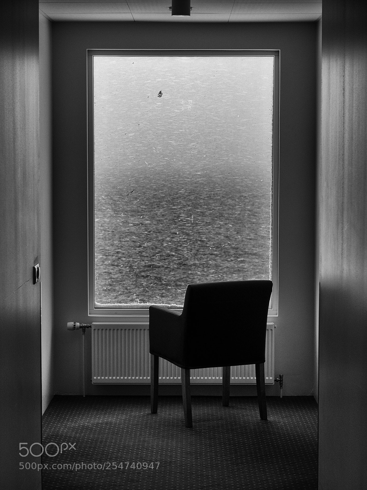 Olympus OM-D E-M5 sample photo. Front window photography