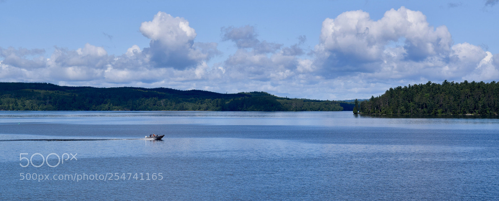 Nikon D3300 sample photo. Cruising photography