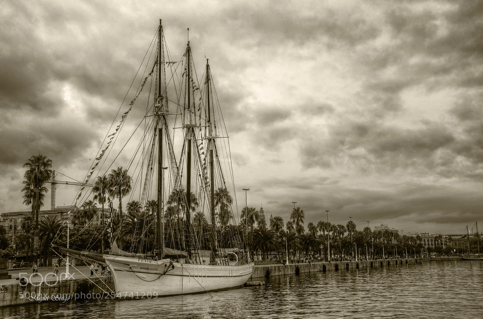 Nikon D7000 sample photo. Barco photography