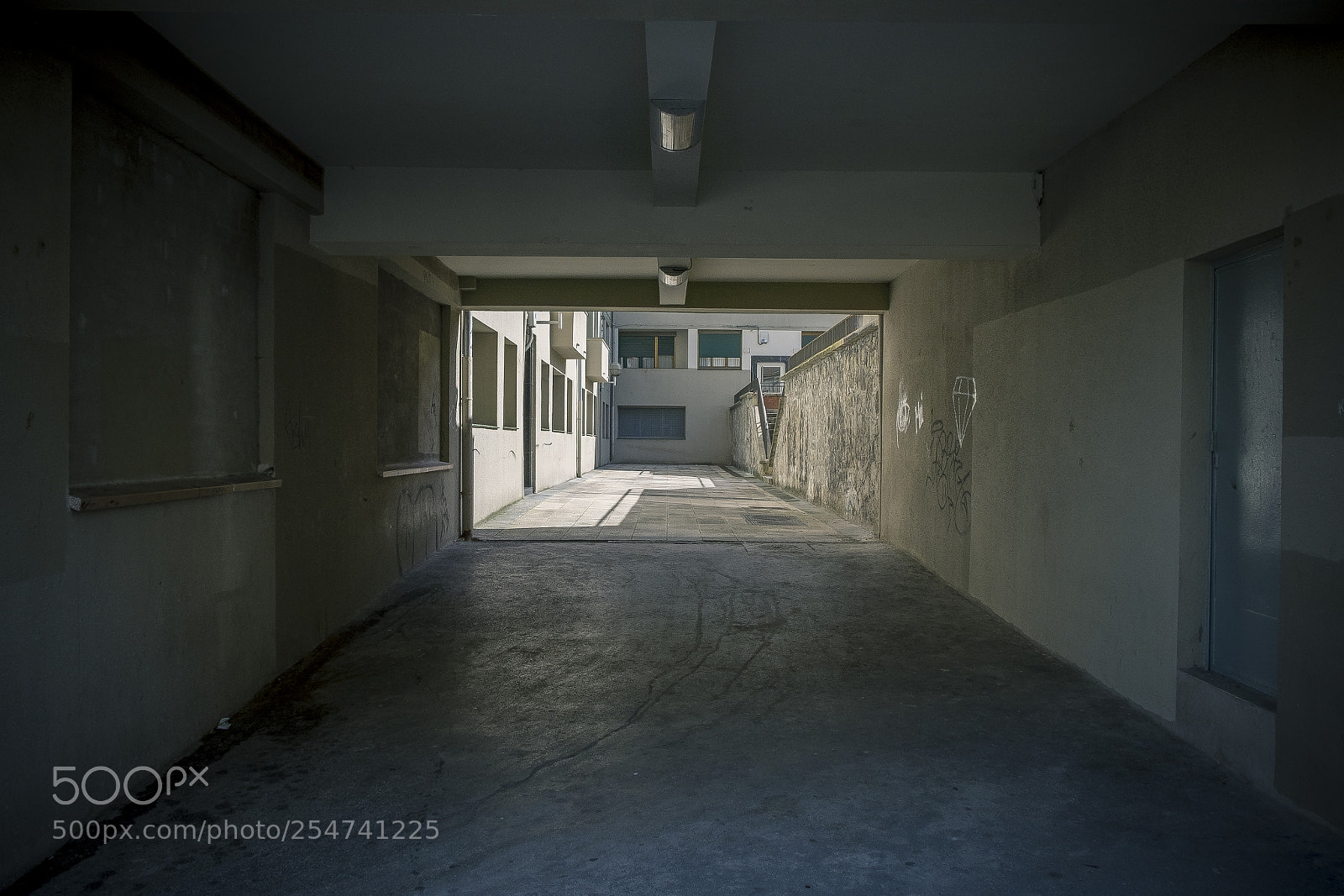 Fujifilm X-T1 sample photo. Non vivet in via photography